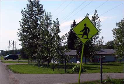 Indian street crossing sign