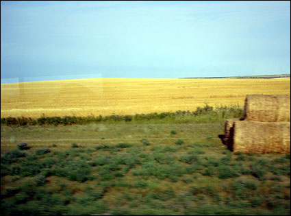 Gold fields surround the town of Linton